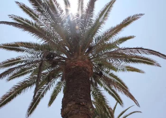 Front House 'casa Neen' 펜션